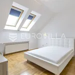 Rent 4 bedroom apartment of 170 m² in Zagreb