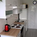 Rent 1 bedroom apartment in Praha 5