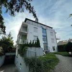 Rent 1 bedroom apartment of 36 m² in Esslingen (Neckar) - Brühl