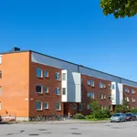 Rent 3 rooms apartment of 60 m² in Malmo