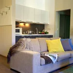 Rent 1 bedroom apartment of 45 m² in Grad Rijeka