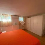 Rent 2 bedroom apartment of 55 m² in Terracina