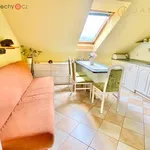 Rent 2 bedroom apartment of 45 m² in Klášterec nad Ohří