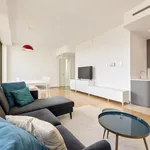 Flat - apartment for rent - Elsene    Option