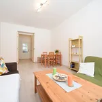 Rent 3 bedroom apartment of 63 m² in Praha