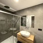 Rent 2 bedroom apartment of 57 m² in Milano