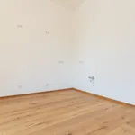 Rent 4 bedroom apartment of 118 m² in Leipzig