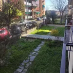 Rent 4 bedroom apartment of 100 m² in Pavia