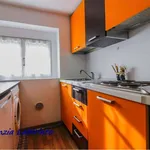 Rent 2 bedroom apartment of 40 m² in Forlì