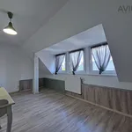 Rent 4 bedroom apartment of 164 m² in Miřetice