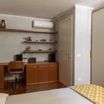 Rent 1 bedroom apartment in rome