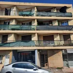 Rent 3 bedroom apartment of 72 m² in Marseille