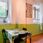 Rent 1 bedroom apartment of 35 m² in Roma