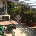 Rent 4 bedroom apartment of 200 m² in Romano di Lombardia