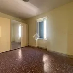 Rent 3 bedroom apartment of 80 m² in Roma