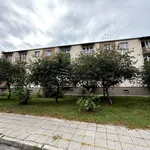 Rent 2 bedroom apartment of 36 m² in Chełm