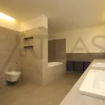 Rent 5 bedroom house in Prague