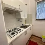 Rent 1 bedroom apartment of 40 m² in Roma