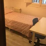 Rent a room in madrid