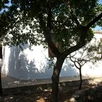 Rent 1 bedroom house of 80 m² in Ostuni