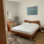 Appartamento arredato con terrazzo Centro