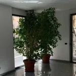 Rent 3 bedroom apartment of 110 m² in Milano