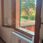 Rent 3 bedroom apartment of 50 m² in Bologna