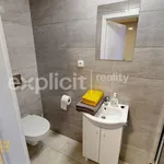 Rent 1 bedroom apartment of 32 m² in Zlín