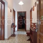 Rent 4 bedroom apartment of 110 m² in Supino