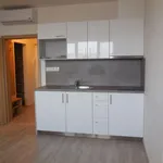 Rent 1 bedroom apartment of 30 m² in Brno