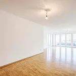 Rent 1 bedroom apartment in Trier