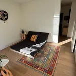 Pronajměte si 2 ložnic/e byt o rozloze 90 m² v Prague