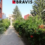 Pronajměte si 1 ložnic/e byt o rozloze 45 m² v Brno