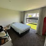 Rent 3 bedroom house in Christchurch