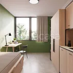 Rent 1 bedroom apartment of 15 m² in Turin