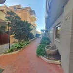 Rent 3 bedroom apartment of 100 m² in Roma