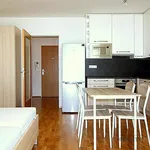 Rent 1 bedroom apartment of 46 m² in Brno