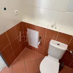 Pronajměte si 2 ložnic/e byt o rozloze 66 m² v Praha