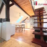 Rent 1 bedroom house of 676 m² in Brloh