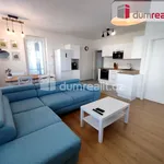 Rent 3 bedroom apartment of 63 m² in Fryšták