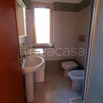 Rent 2 bedroom apartment of 55 m² in Ricadi