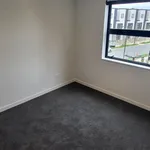 Rent 1 bedroom house in Auckland