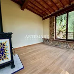 Rent 5 bedroom house of 200 m² in Seravezza