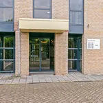 Huur 3 slaapkamer appartement van 77 m² in Hulsdonk