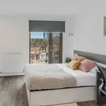 Rent 1 bedroom apartment in London