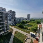 Rent 1 bedroom apartment in  Stodůlky                        					