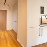 Rent 2 bedroom apartment of 46 m² in Capital City of Prague