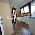 Apartment via Flavio Gioia 11, Centro, Forte dei Marmi