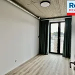 Rent 3 bedroom apartment of 61 m² in Liberec