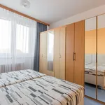 Rent 2 bedroom apartment of 53 m² in Modřice